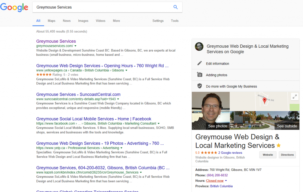 GMB local biz search results Greymouse Services